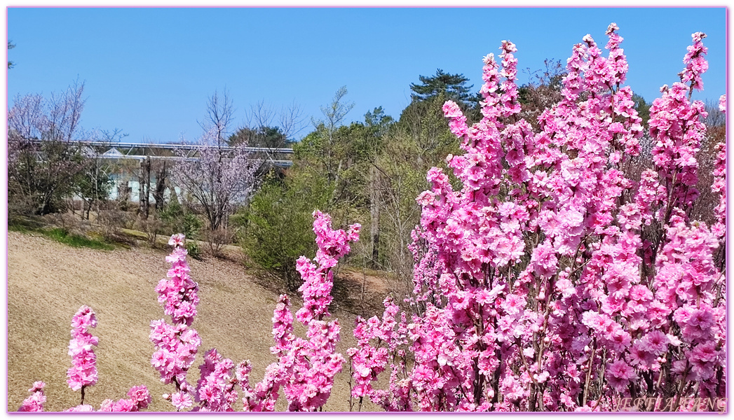 TOTTORI,圓頂花房,展望迴廊,山陰,日本旅遊,鳥取,鳥取花迴廊