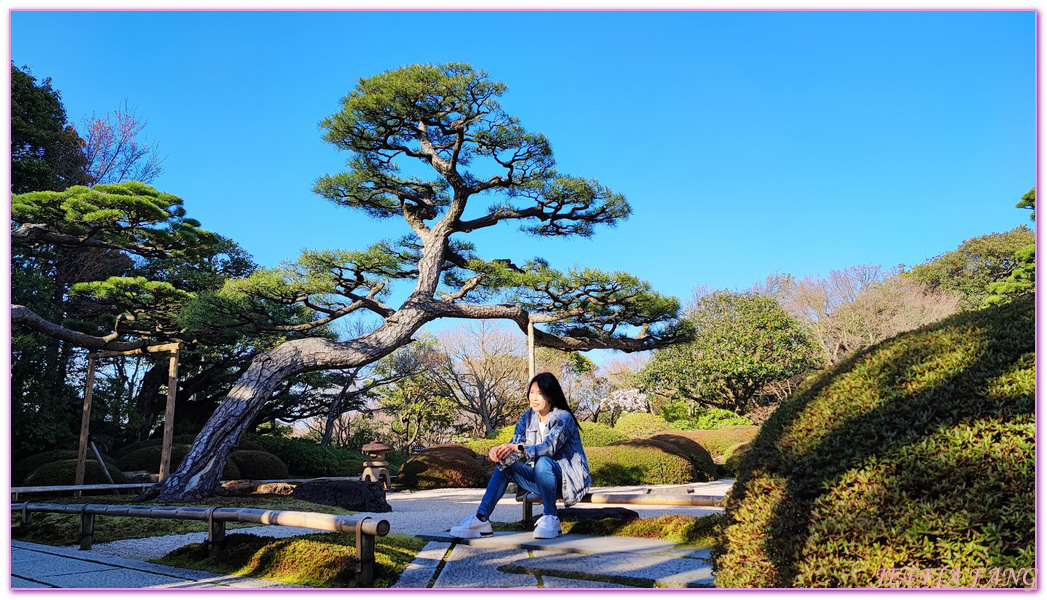 Shimane Ken,YUUSHIEN GARDEN,中國地方,山陰,島根人蔘,島根縣,日本旅遊,由志園,迴遊式庭園