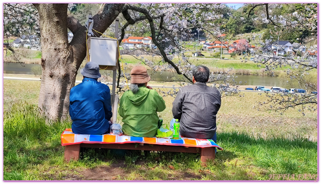 來次神社,山陰,島根縣,斐伊川堤防櫻花大道,日本旅遊,鳥取,鳳凰旅遊