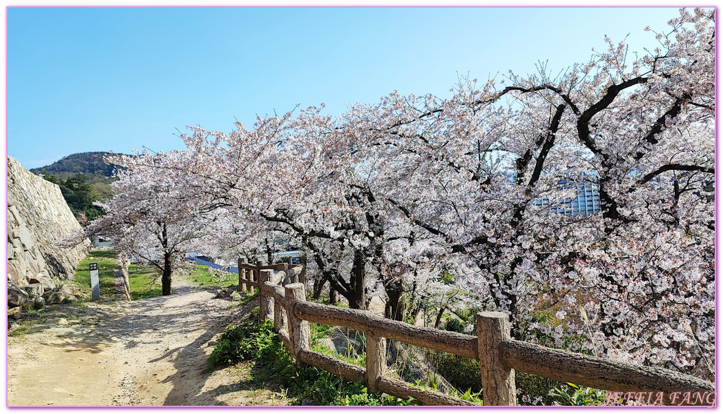 TOTTORI,久松公園,仁風閣,山陰,日本旅遊,日本櫻花百選,日本百選名城,鳥取,鳥取城跡