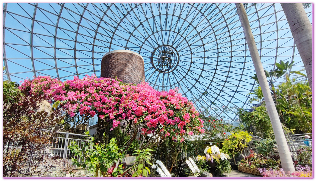 TOTTORI,圓頂花房,展望迴廊,山陰,日本旅遊,鳥取,鳥取花迴廊