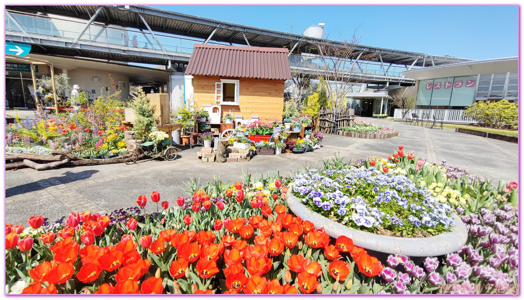 TOTTORI,圓頂花房,展望迴廊,山陰,日本旅遊,鳥取,鳥取花迴廊