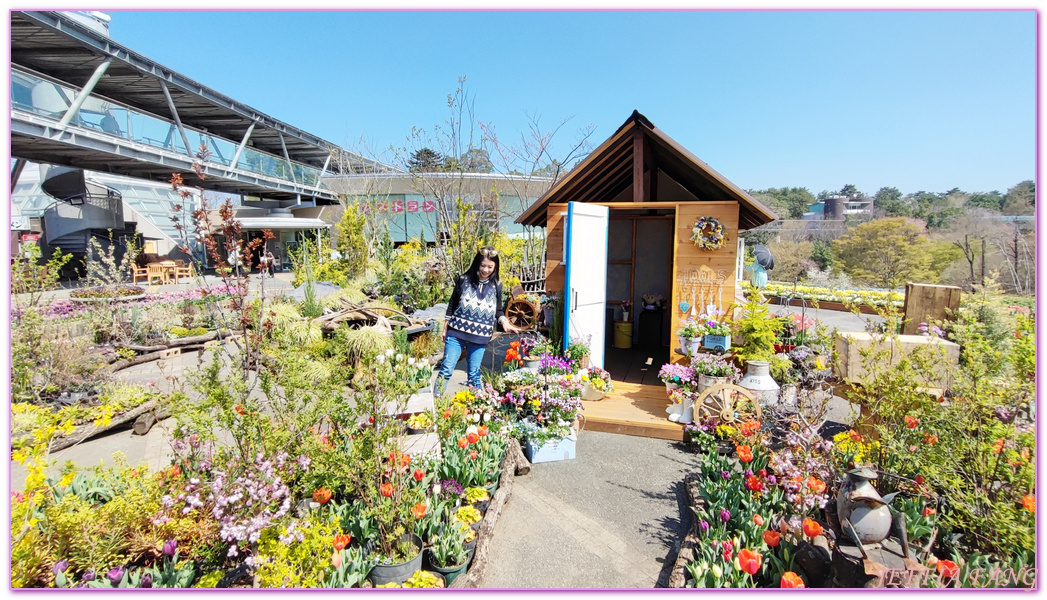 TOTTORI,圓頂花房,展望迴廊,山陰,日本旅遊,鳥取,鳥取花迴廊