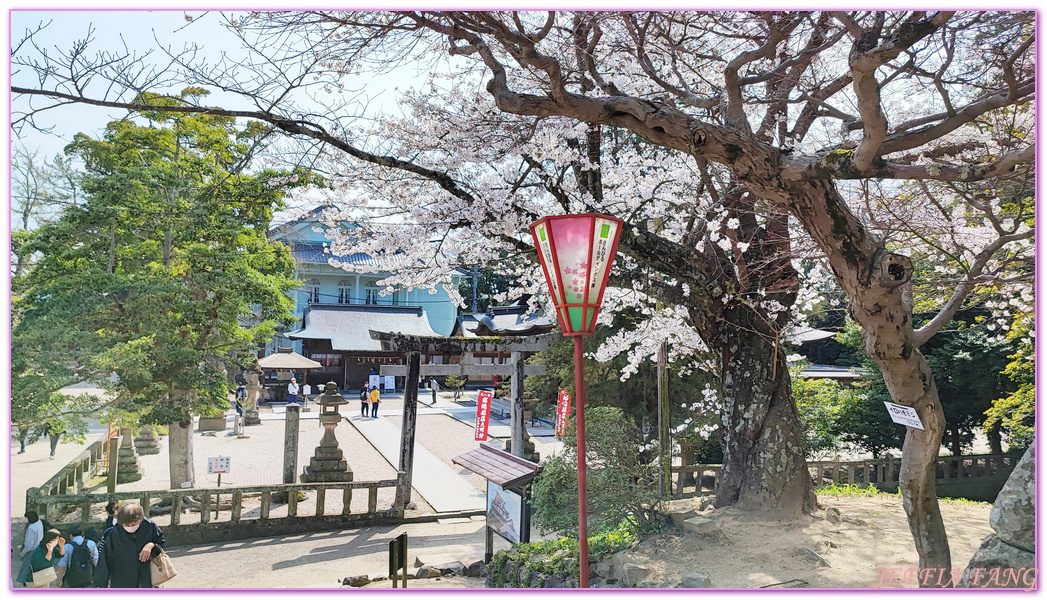 Matsure Castle,Shimane Ken,山陰旅遊,島根縣,日本旅遊,松江城,鳥取