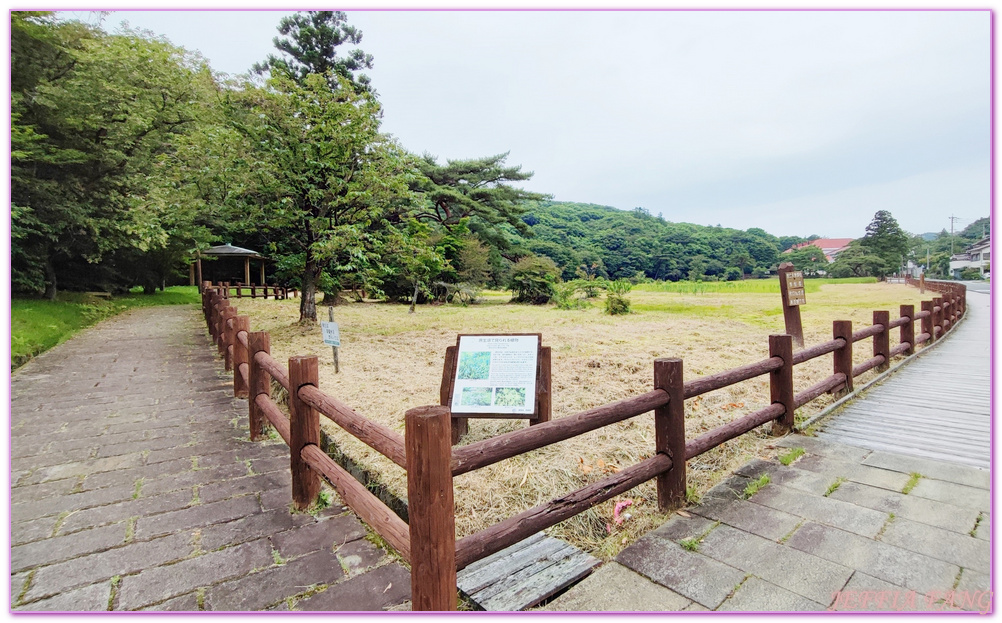 Unzen,北九州長崎NAGASAKI,島原半島,日本旅遊,長崎旅遊,雲仙地獄,雲仙溫泉