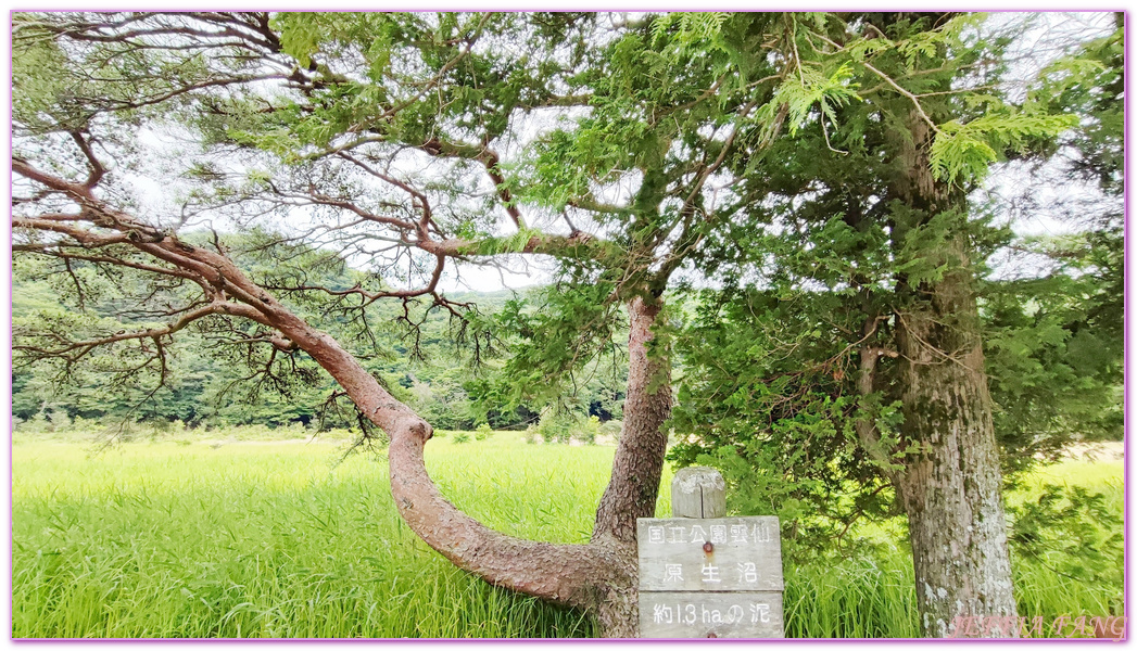 Unzen,北九州長崎NAGASAKI,島原半島,日本旅遊,長崎旅遊,雲仙地獄,雲仙溫泉