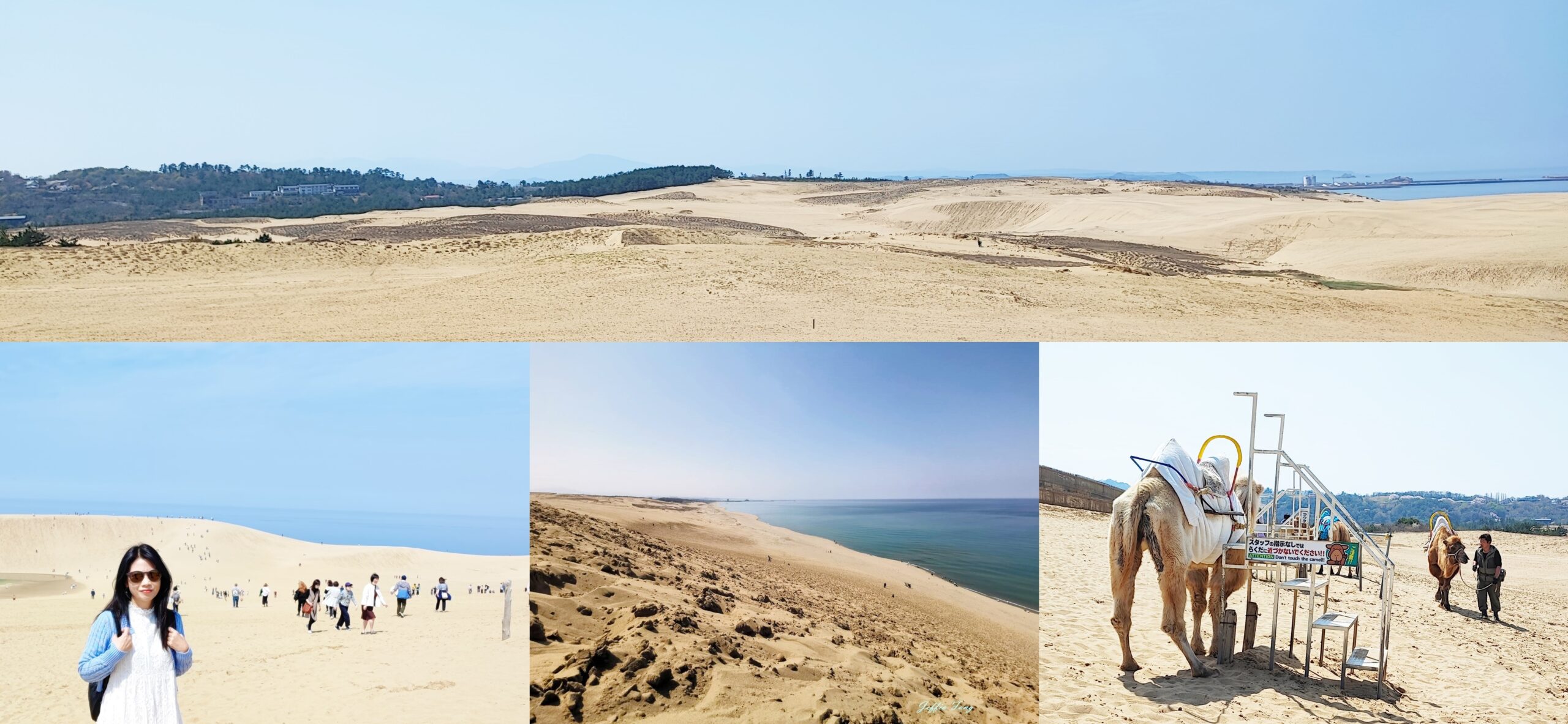 TOTTORI,日本旅遊,沙丘會館,鳥取,鳥取砂丘