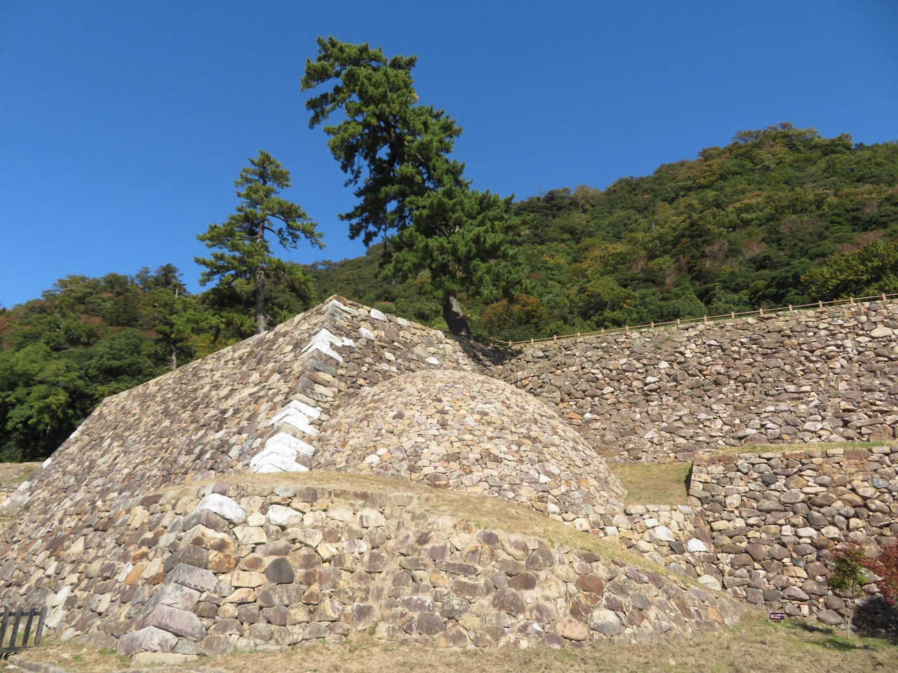 TOTTORI,久松公園,仁風閣,山陰,日本旅遊,日本櫻花百選,日本百選名城,鳥取,鳥取城跡