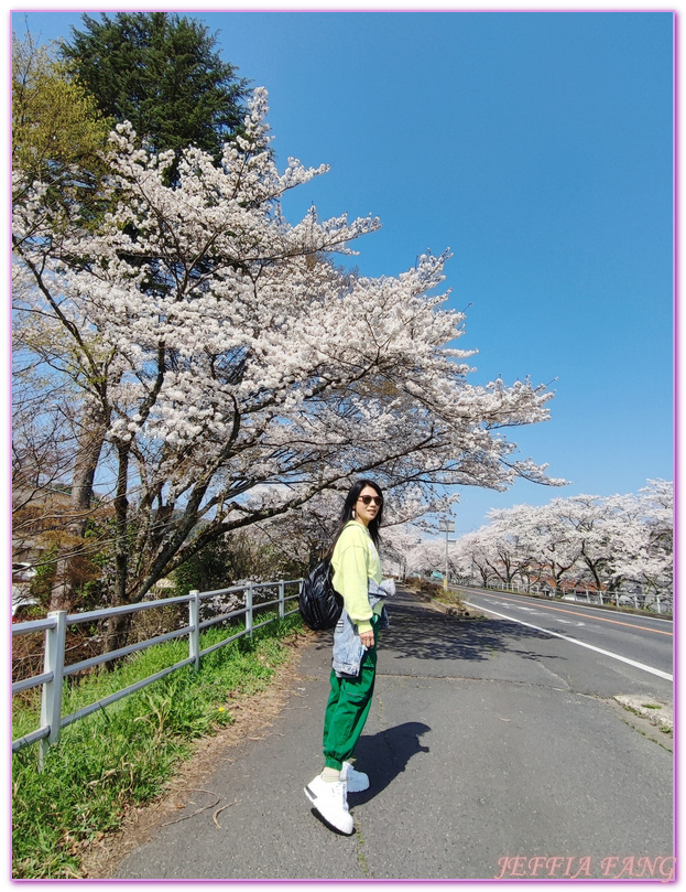 來次神社,山陰,島根縣,斐伊川堤防櫻花大道,日本旅遊,鳥取,鳳凰旅遊