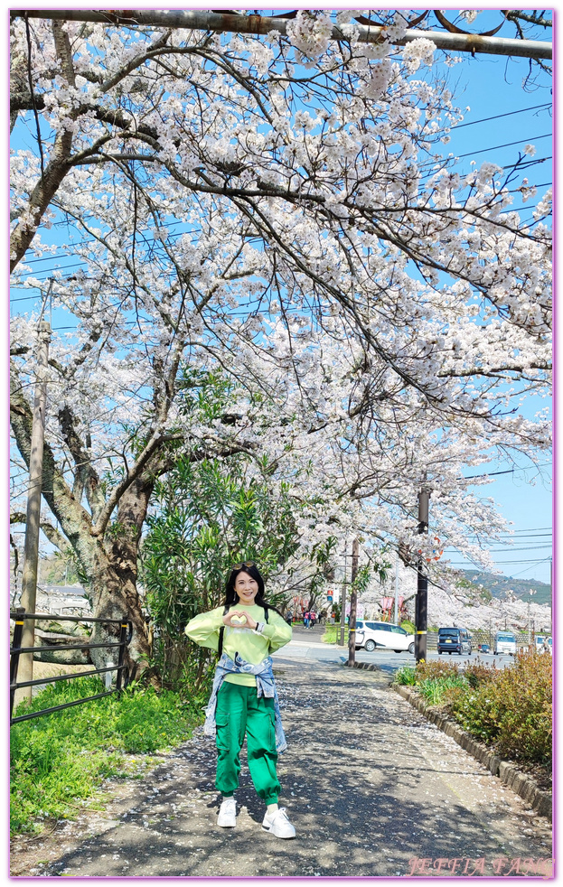 來次神社,山陰,島根縣,斐伊川堤防櫻花大道,日本旅遊,鳥取,鳳凰旅遊