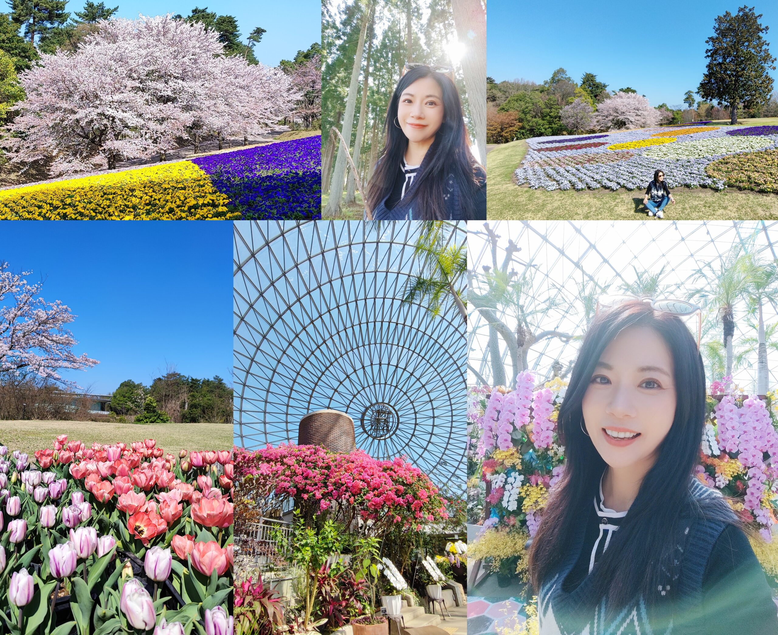 ◎日本中國地方山陰鳥取縣花卉公園【鳥取花回(迴)廊】日本最大的花卉主題公園、巨大的圓頂花房、一公里的展望迴廊 @嘿!部落!