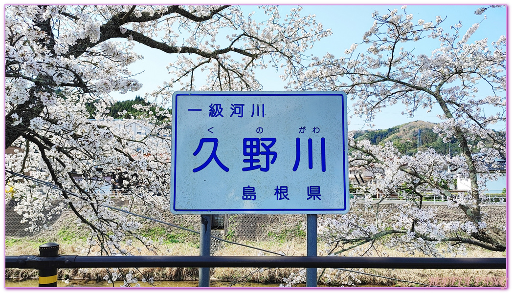 來次神社,山陰,島根縣,斐伊川堤防櫻花大道,日本旅遊,鳥取,鳳凰旅遊