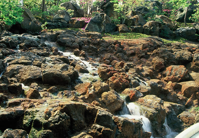 Shimane Ken,YUUSHIEN GARDEN,中國地方,山陰,島根人蔘,島根縣,日本旅遊,由志園,迴遊式庭園