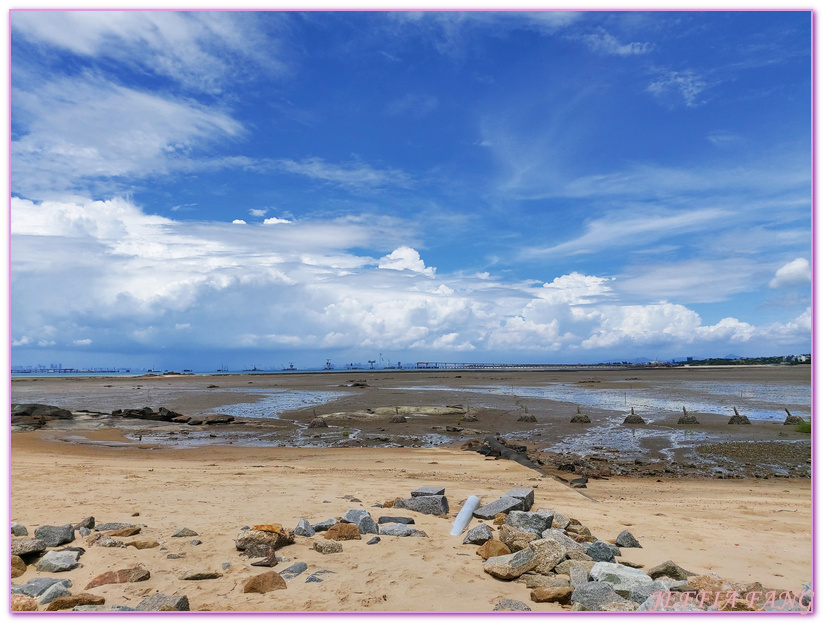 Kinmen,台灣旅遊,潮間帶生態,牡蠣人,金城鎮,金門,金門摩西分海