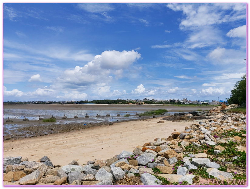 Kinmen,台灣旅遊,潮間帶生態,牡蠣人,金城鎮,金門,金門摩西分海