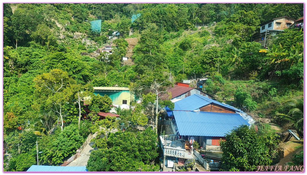 360度天空觀景步道Curtis Crest Tree Top Walk,The Habitat自然生態公園,升旗山Penang Hill,東南亞旅遊,森林吊橋,檳城Penang,檳城旅遊,馬來西亞旅遊