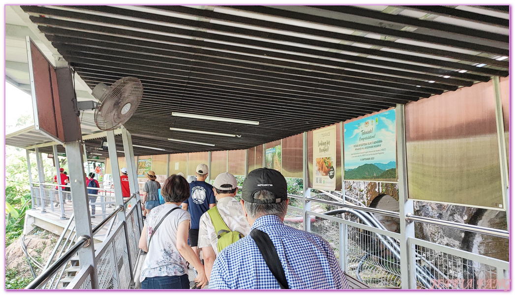 360度天空觀景步道Curtis Crest Tree Top Walk,The Habitat自然生態公園,升旗山Penang Hill,東南亞旅遊,森林吊橋,檳城Penang,檳城旅遊,馬來西亞旅遊