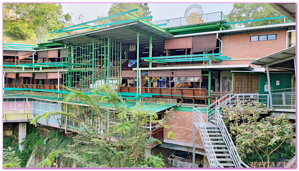 360度天空觀景步道Curtis Crest Tree Top Walk,The Habitat自然生態公園,升旗山Penang Hill,東南亞旅遊,森林吊橋,檳城Penang,檳城旅遊,馬來西亞旅遊