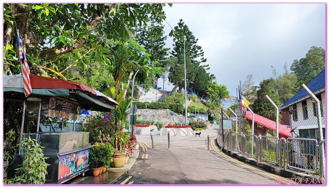 360度天空觀景步道Curtis Crest Tree Top Walk,The Habitat自然生態公園,升旗山Penang Hill,東南亞旅遊,森林吊橋,檳城Penang,檳城旅遊,馬來西亞旅遊