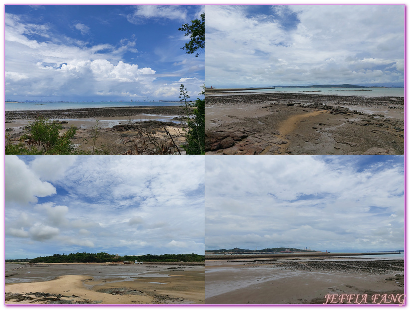 Kinmen,台灣旅遊,潮間帶生態,牡蠣人,金城鎮,金門,金門摩西分海