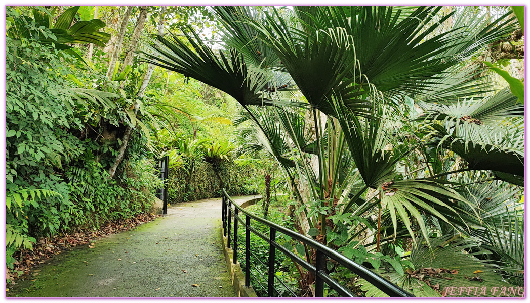 360度天空觀景步道Curtis Crest Tree Top Walk,The Habitat自然生態公園,升旗山Penang Hill,東南亞旅遊,森林吊橋,檳城Penang,檳城旅遊,馬來西亞旅遊