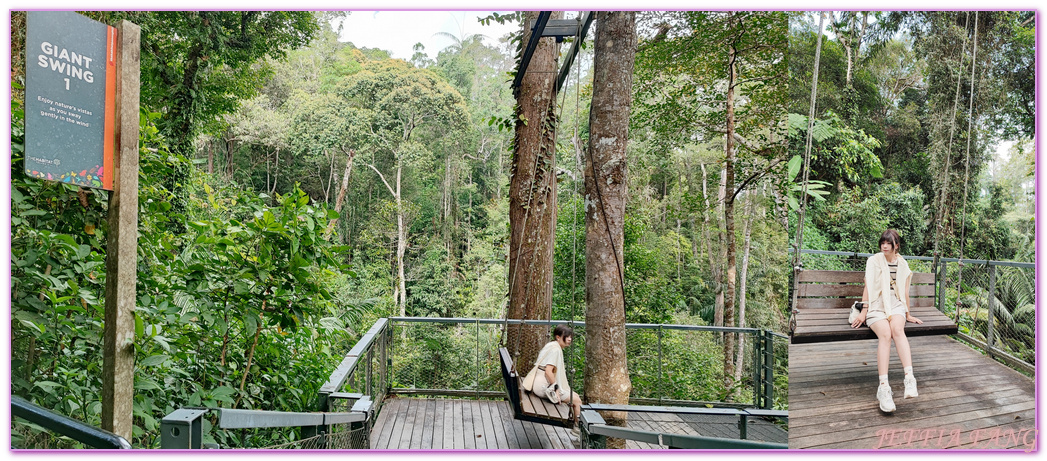 360度天空觀景步道Curtis Crest Tree Top Walk,The Habitat自然生態公園,升旗山Penang Hill,東南亞旅遊,森林吊橋,檳城Penang,檳城旅遊,馬來西亞旅遊