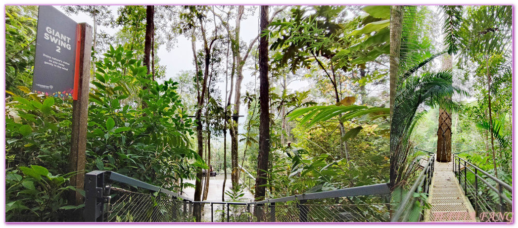 360度天空觀景步道Curtis Crest Tree Top Walk,The Habitat自然生態公園,升旗山Penang Hill,東南亞旅遊,森林吊橋,檳城Penang,檳城旅遊,馬來西亞旅遊