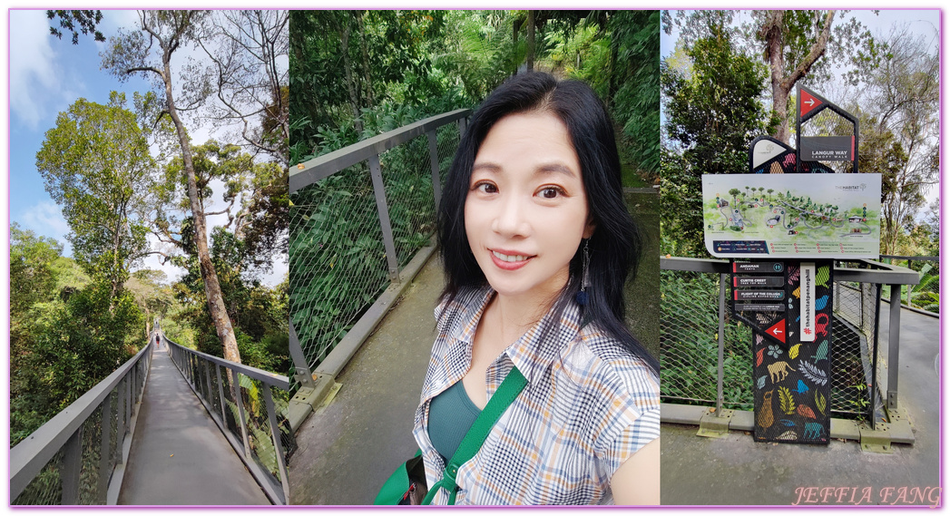 360度天空觀景步道Curtis Crest Tree Top Walk,The Habitat自然生態公園,升旗山Penang Hill,東南亞旅遊,森林吊橋,檳城Penang,檳城旅遊,馬來西亞旅遊