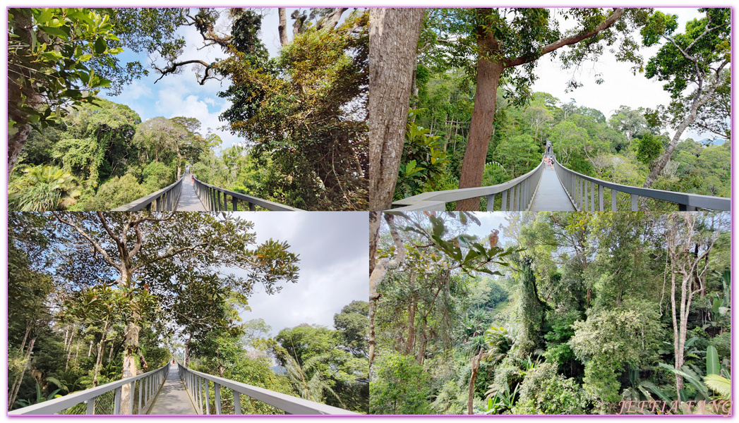 The Habitat自然生態公園,The Habitat自然生態公園、森林吊橋、360度天空觀景步道Curtis Crest Tree Top Walk,升旗山Penang Hill,東南亞旅遊,檳城Penang,檳城旅遊,馬來西亞旅遊