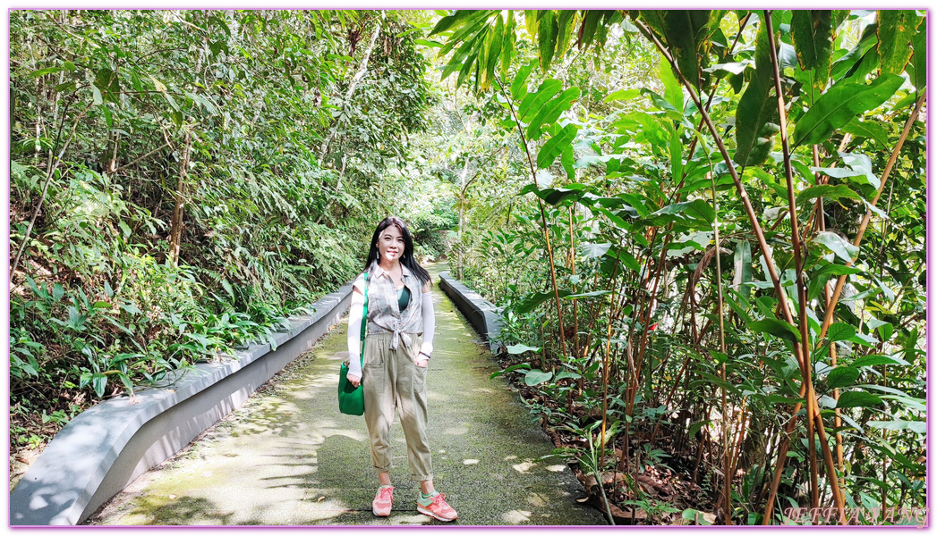 360度天空觀景步道Curtis Crest Tree Top Walk,The Habitat自然生態公園,升旗山Penang Hill,東南亞旅遊,森林吊橋,檳城Penang,檳城旅遊,馬來西亞旅遊