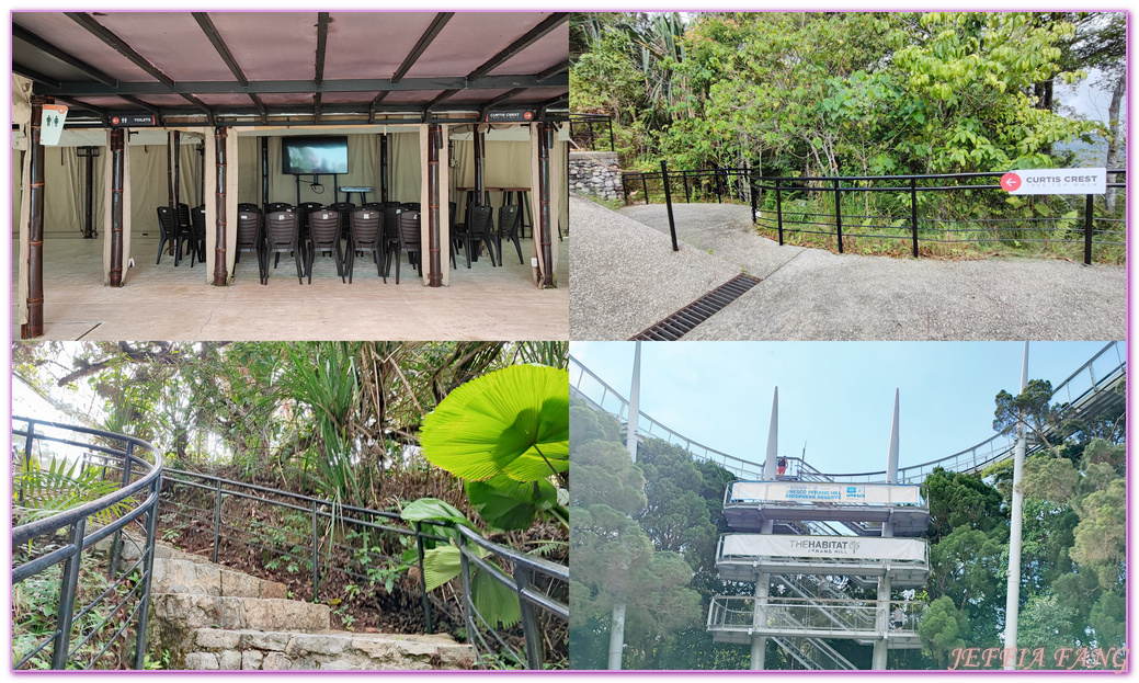 360度天空觀景步道Curtis Crest Tree Top Walk,The Habitat自然生態公園,升旗山Penang Hill,東南亞旅遊,森林吊橋,檳城Penang,檳城旅遊,馬來西亞旅遊