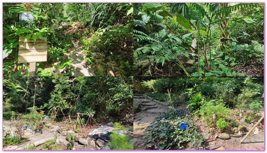 Malaysia,Tropical Spice Garden,檳城Penang,檳城旅遊,檳城熱帶香料花園,馬來西亞旅遊