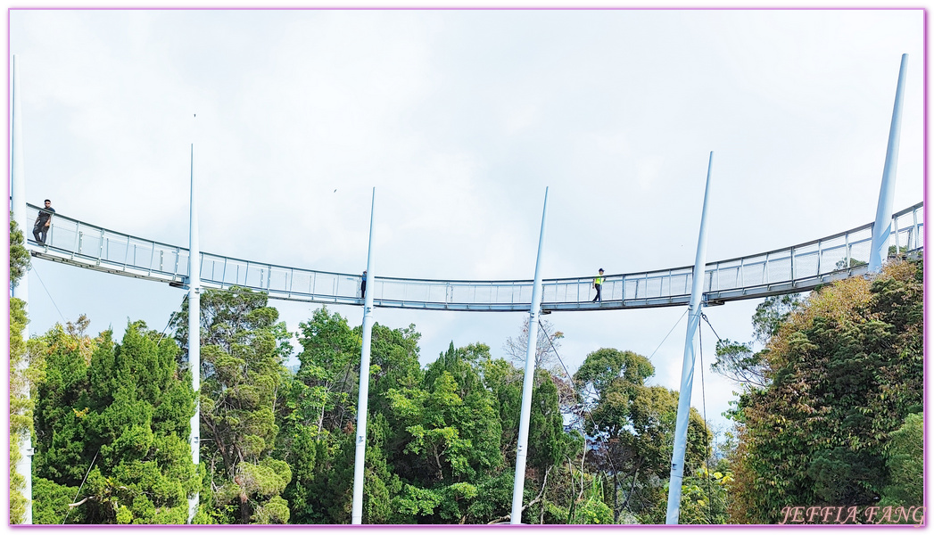 360度天空觀景步道Curtis Crest Tree Top Walk,The Habitat自然生態公園,升旗山Penang Hill,東南亞旅遊,森林吊橋,檳城Penang,檳城旅遊,馬來西亞旅遊