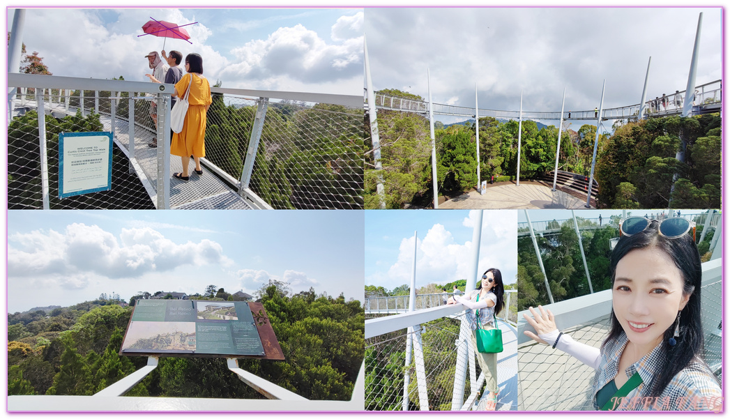 360度天空觀景步道Curtis Crest Tree Top Walk,The Habitat自然生態公園,升旗山Penang Hill,東南亞旅遊,森林吊橋,檳城Penang,檳城旅遊,馬來西亞旅遊