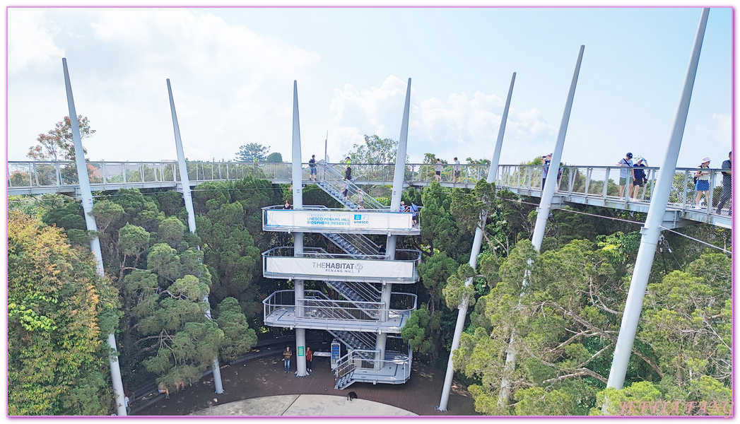 360度天空觀景步道Curtis Crest Tree Top Walk,The Habitat自然生態公園,升旗山Penang Hill,東南亞旅遊,森林吊橋,檳城Penang,檳城旅遊,馬來西亞旅遊