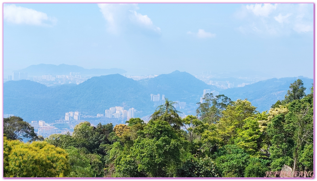 360度天空觀景步道Curtis Crest Tree Top Walk,The Habitat自然生態公園,升旗山Penang Hill,東南亞旅遊,森林吊橋,檳城Penang,檳城旅遊,馬來西亞旅遊