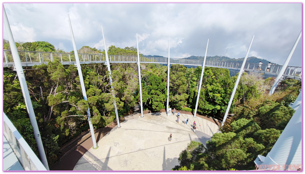 360度天空觀景步道Curtis Crest Tree Top Walk,The Habitat自然生態公園,升旗山Penang Hill,東南亞旅遊,森林吊橋,檳城Penang,檳城旅遊,馬來西亞旅遊