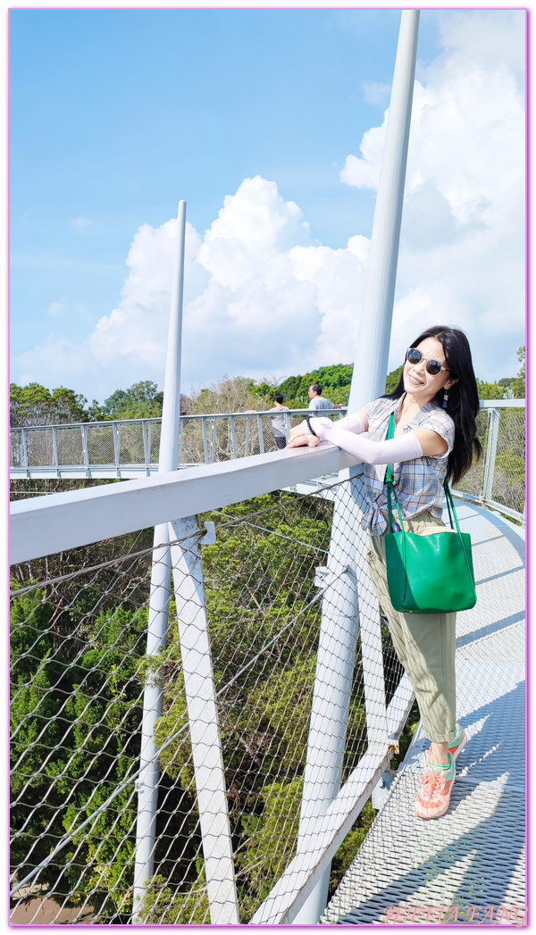 360度天空觀景步道Curtis Crest Tree Top Walk,The Habitat自然生態公園,升旗山Penang Hill,東南亞旅遊,森林吊橋,檳城Penang,檳城旅遊,馬來西亞旅遊