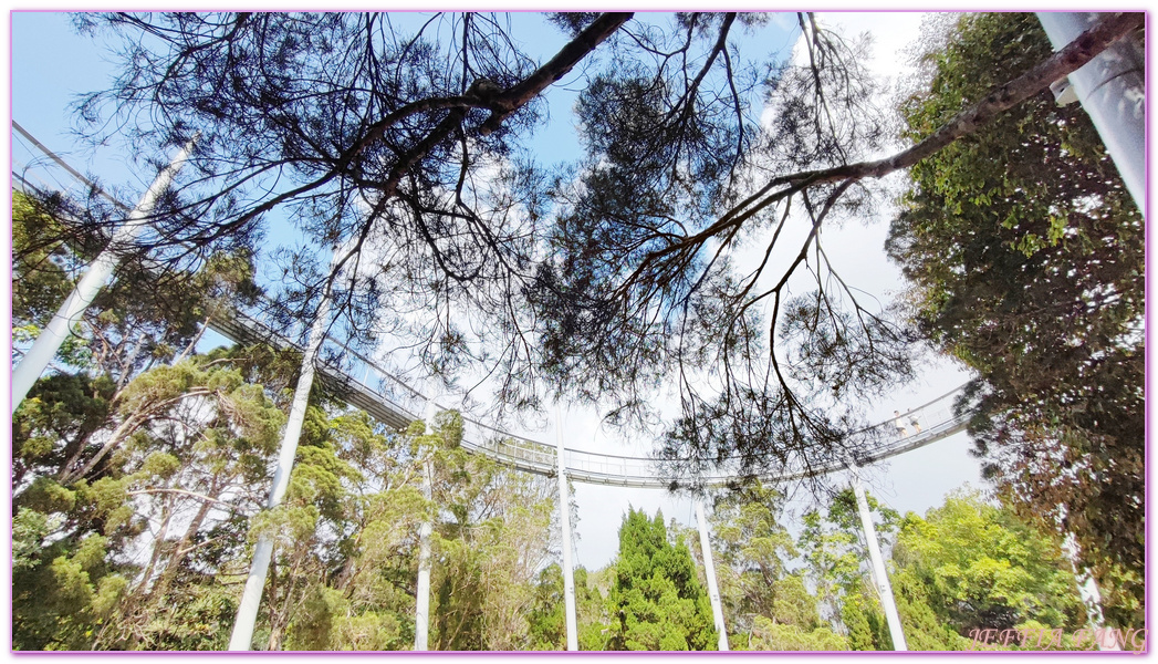 360度天空觀景步道Curtis Crest Tree Top Walk,The Habitat自然生態公園,升旗山Penang Hill,東南亞旅遊,森林吊橋,檳城Penang,檳城旅遊,馬來西亞旅遊