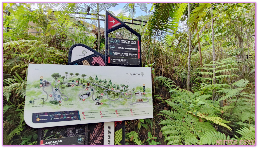 360度天空觀景步道Curtis Crest Tree Top Walk,The Habitat自然生態公園,升旗山Penang Hill,東南亞旅遊,森林吊橋,檳城Penang,檳城旅遊,馬來西亞旅遊