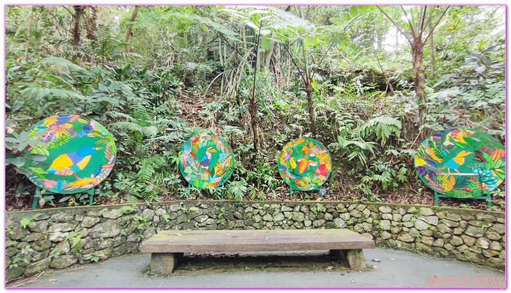 The Habitat自然生態公園,The Habitat自然生態公園、森林吊橋、360度天空觀景步道Curtis Crest Tree Top Walk,升旗山Penang Hill,東南亞旅遊,檳城Penang,檳城旅遊,馬來西亞旅遊