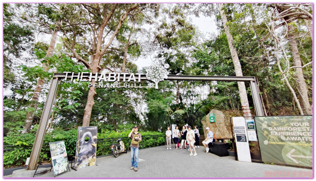 360度天空觀景步道Curtis Crest Tree Top Walk,The Habitat自然生態公園,升旗山Penang Hill,東南亞旅遊,森林吊橋,檳城Penang,檳城旅遊,馬來西亞旅遊