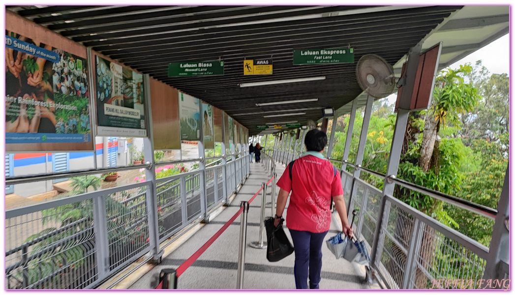 360度天空觀景步道Curtis Crest Tree Top Walk,The Habitat自然生態公園,升旗山Penang Hill,東南亞旅遊,森林吊橋,檳城Penang,檳城旅遊,馬來西亞旅遊