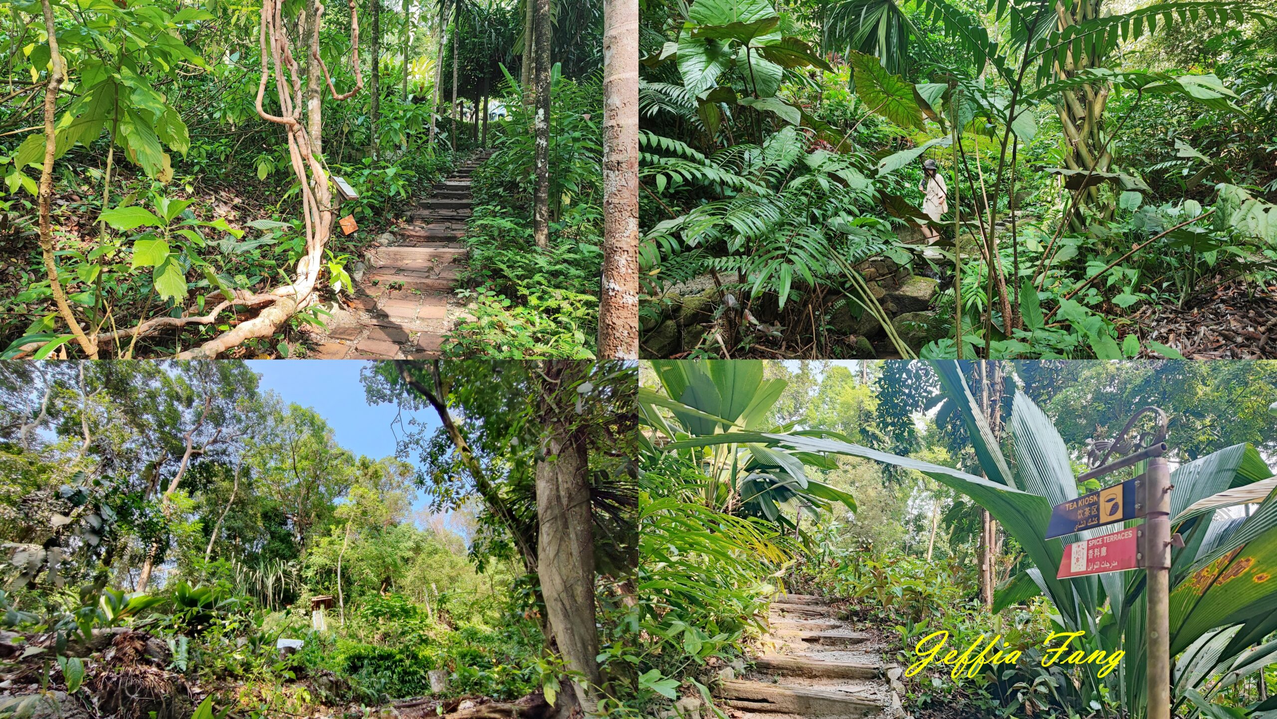 Malaysia,Tropical Spice Garden,檳城Penang,檳城旅遊,檳城熱帶香料花園,馬來西亞旅遊