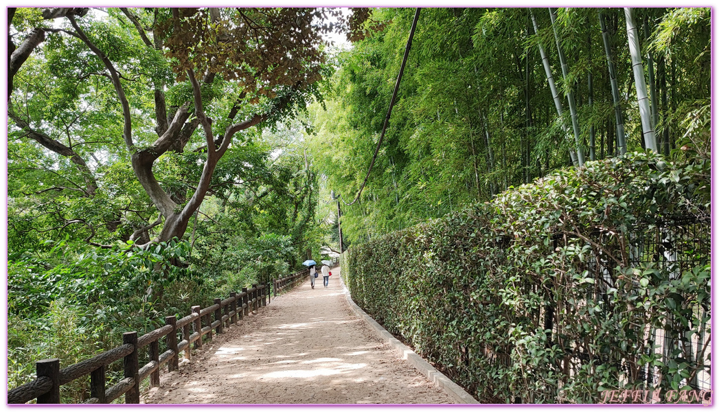 Okayama Korakuen Garden,岡山Okayama,岡山城,岡山後樂園,日本三大名園,日本旅遊,本州Honshu,米其林三星評價