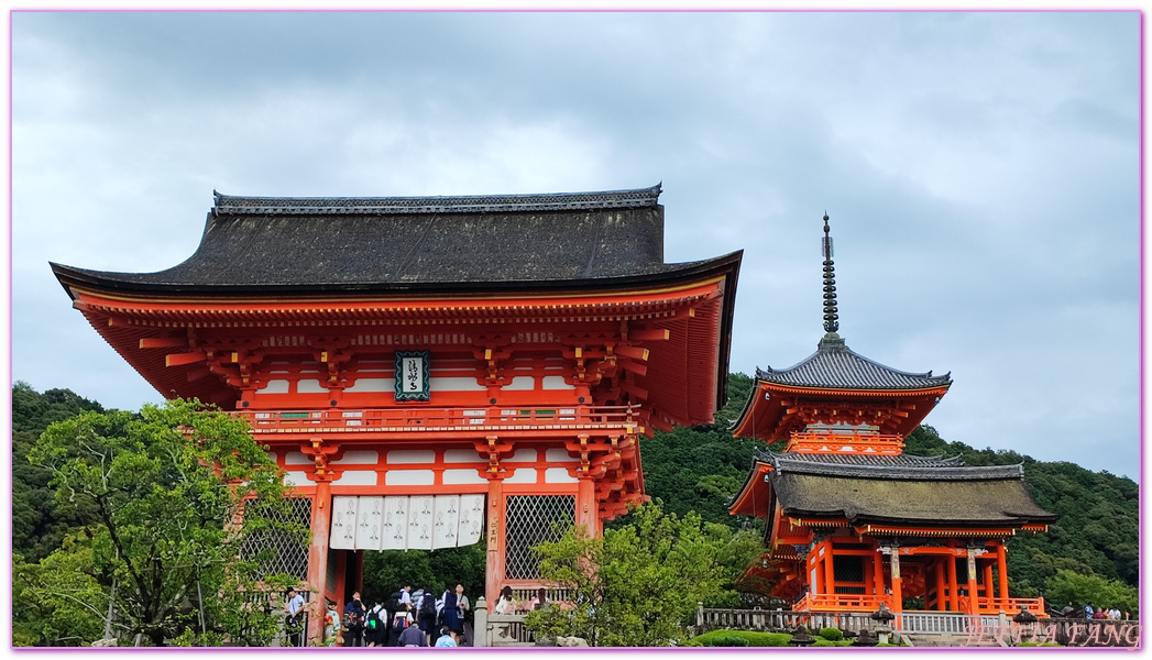 京都Kyoto,京都世界文化遺產,京阪神,日本旅遊,清水寺,清水舞台,音羽之瀧