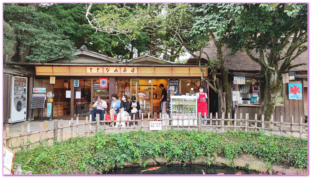 Okayama Korakuen Garden,岡山Okayama,岡山城,岡山後樂園,日本三大名園,日本旅遊,本州Honshu,米其林三星評價