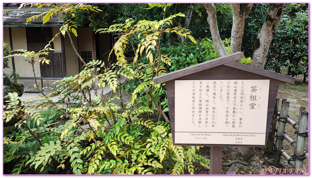 Okayama Korakuen Garden,岡山Okayama,岡山城,岡山後樂園,日本三大名園,日本旅遊,本州Honshu,米其林三星評價