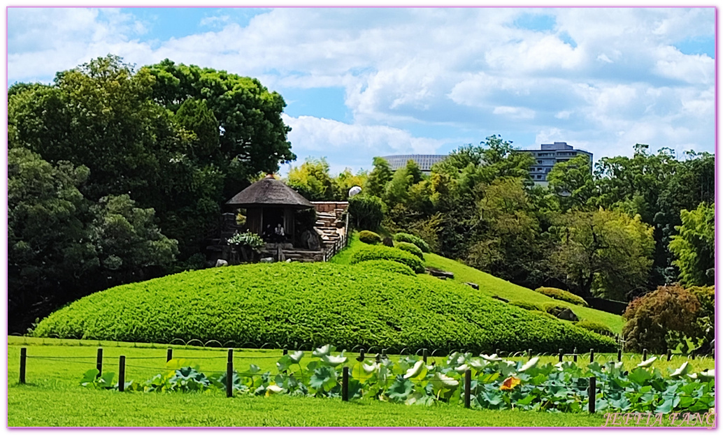 Okayama Korakuen Garden,岡山Okayama,岡山城,岡山後樂園,日本三大名園,日本旅遊,本州Honshu,米其林三星評價