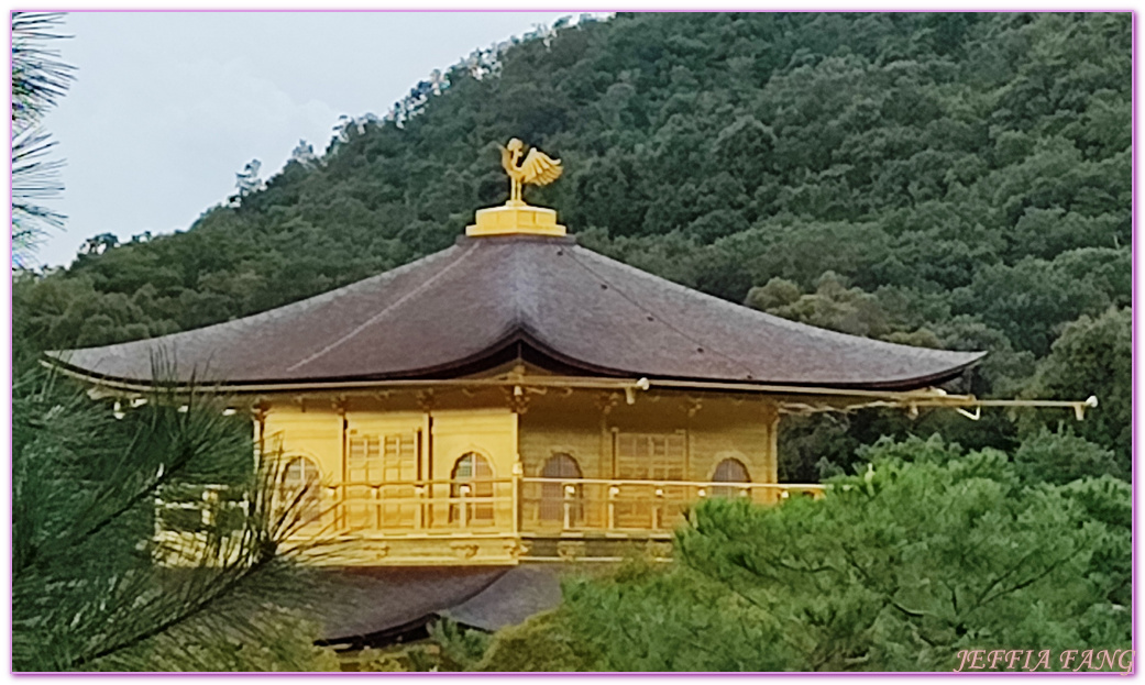 Kinkaku-ji,京都Kyoto,日本世界文化遺產,日本旅遊,足利義滿,金閣寺,鹿苑寺